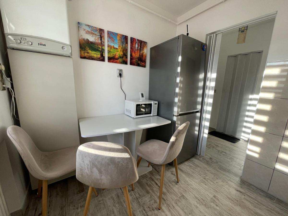 Tei Apartment - Lucian Blaga Satu Mare Extérieur photo