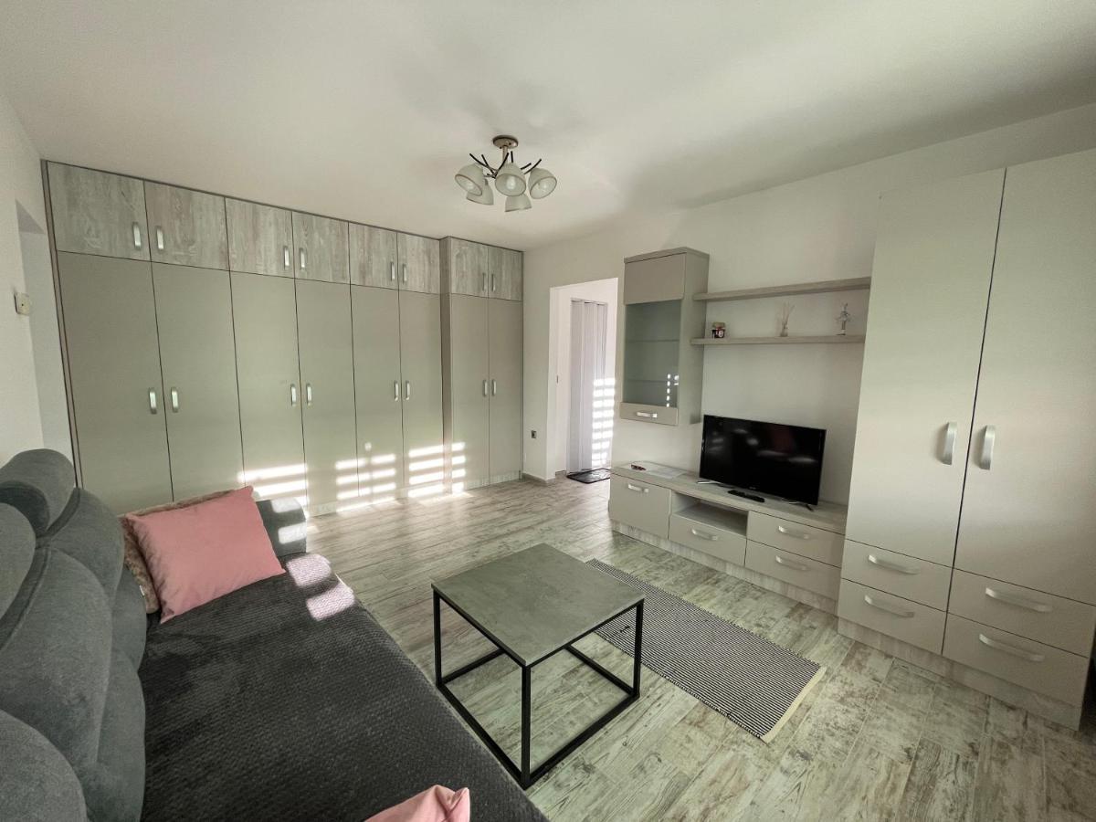 Tei Apartment - Lucian Blaga Satu Mare Extérieur photo